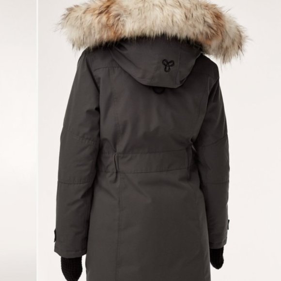 Aritzia Golden by TNA Down Bancroft Parka Grey - Picture 4 of 8